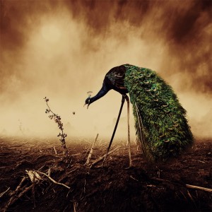 Rüyada gökten büyük taş yağdığını görmek - MakbulRuyalar.com